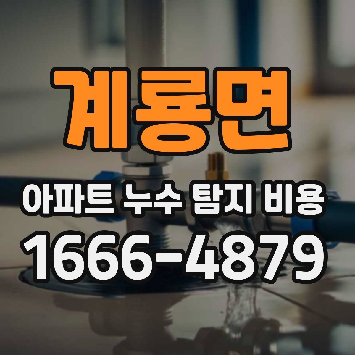 계룡면 아파트 누수 탐지 비용