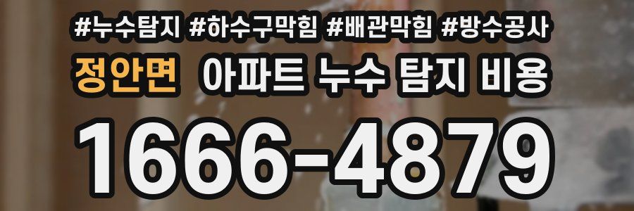 정안면 아파트 누수 탐지 비용