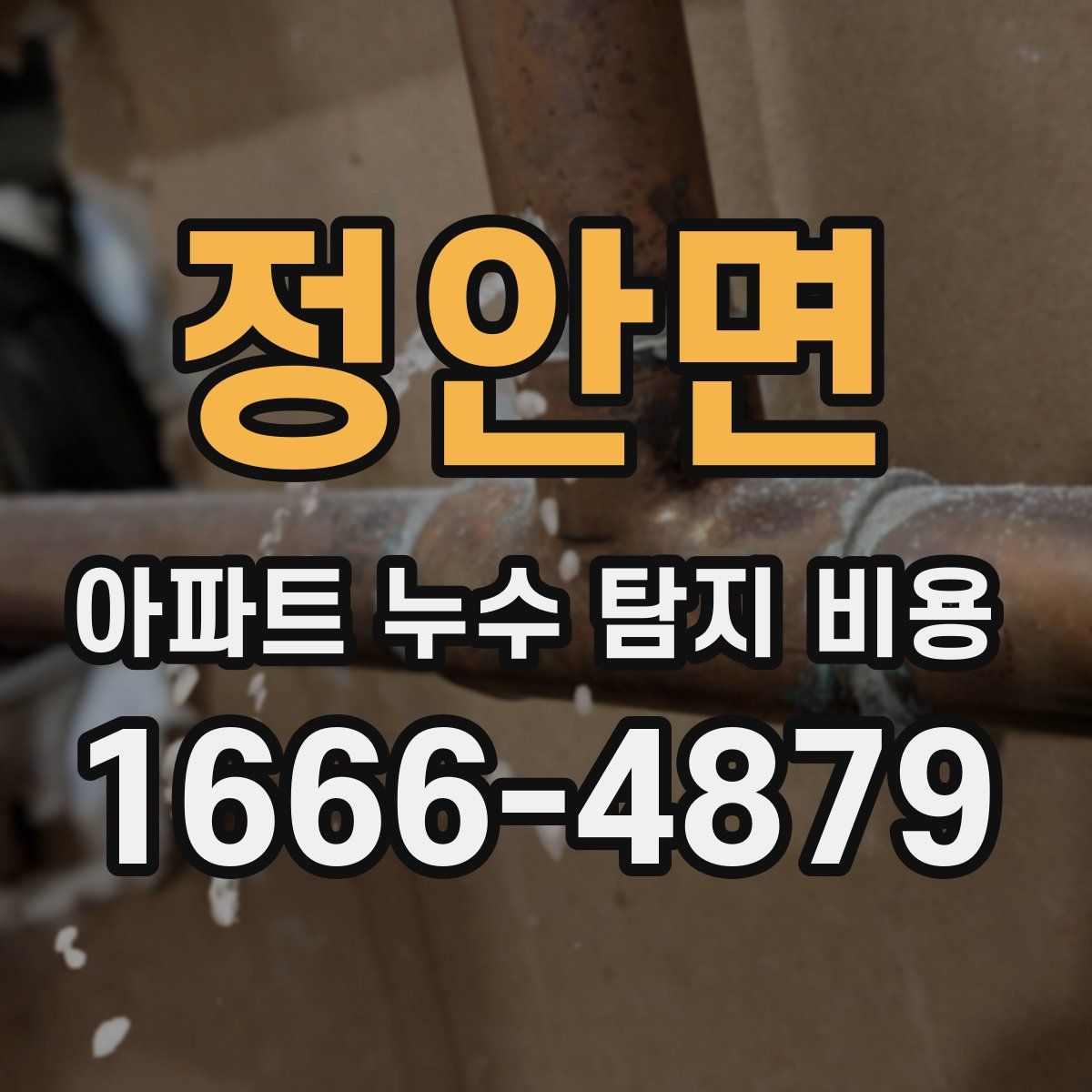 정안면 아파트 누수 탐지 비용