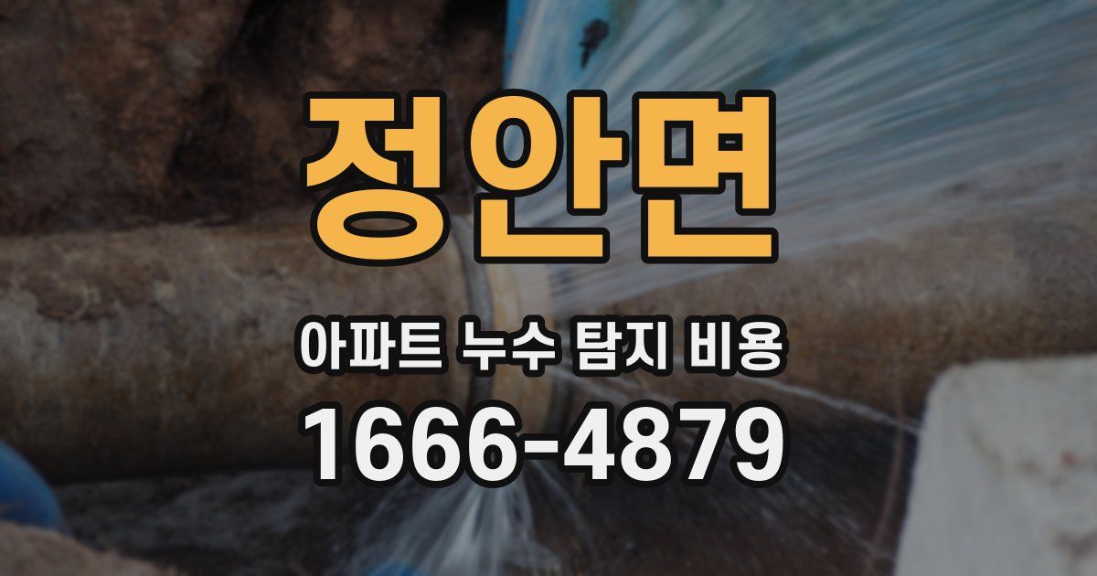 정안면 아파트 누수 탐지 비용