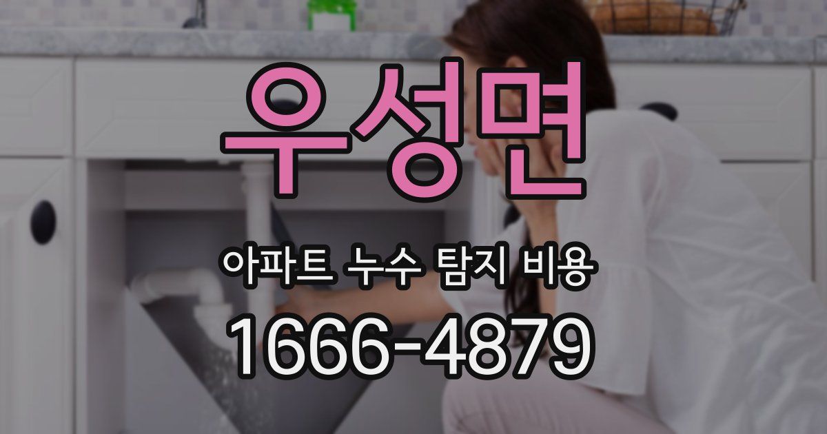 우성면 아파트 누수 탐지 비용