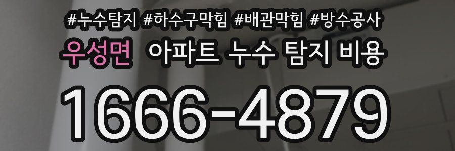 우성면 아파트 누수 탐지 비용