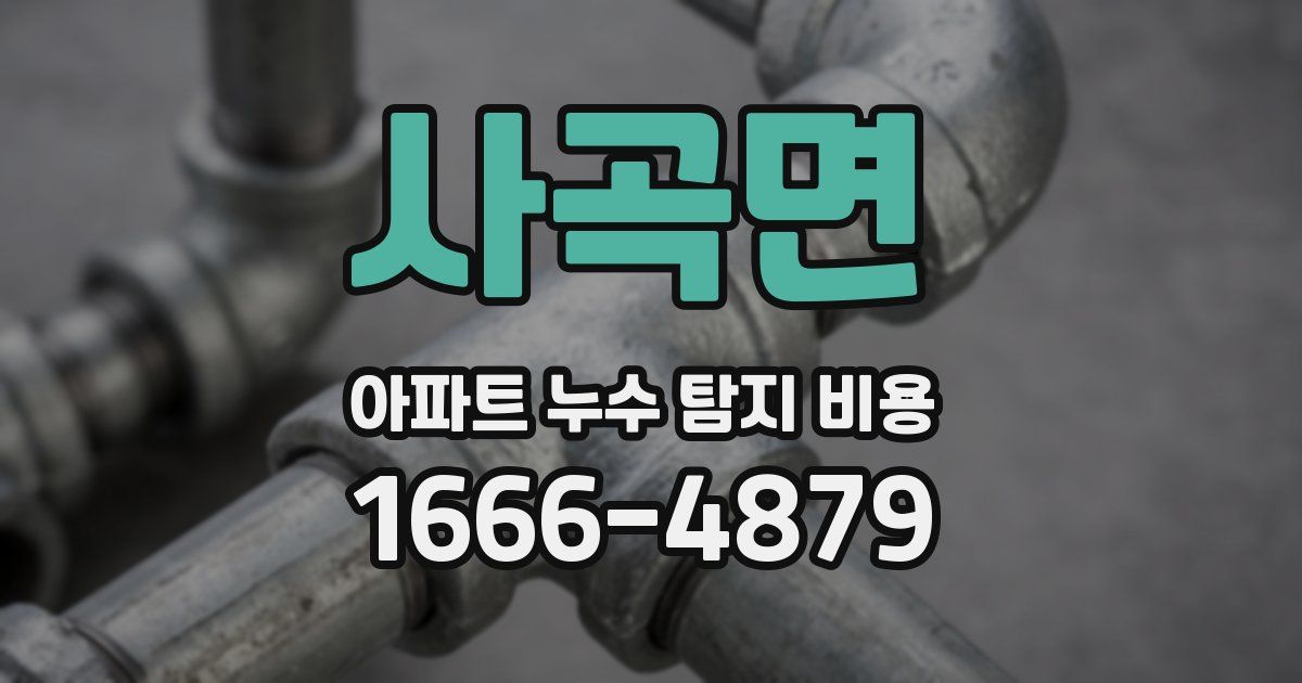 사곡면 아파트 누수 탐지 비용