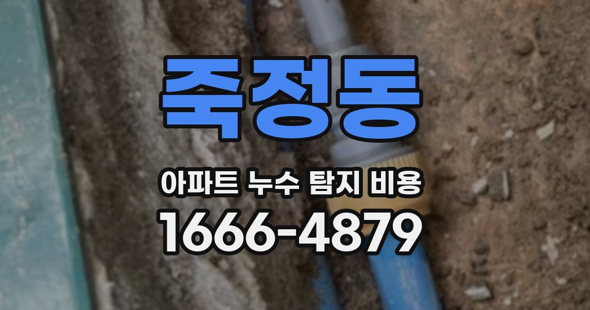 죽정동 아파트 누수 탐지 비용