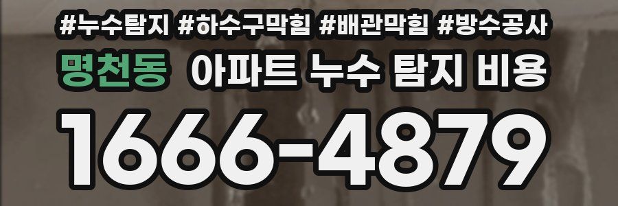 명천동 아파트 누수 탐지 비용
