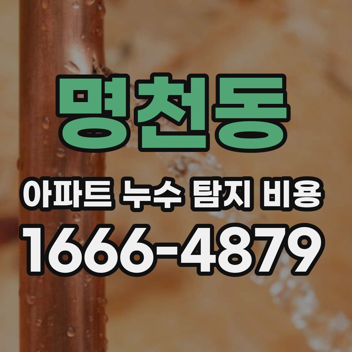 명천동 아파트 누수 탐지 비용