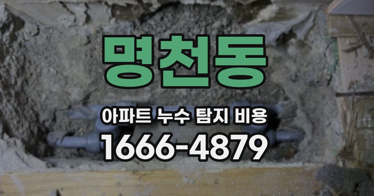 명천동 아파트 누수 탐지 비용
