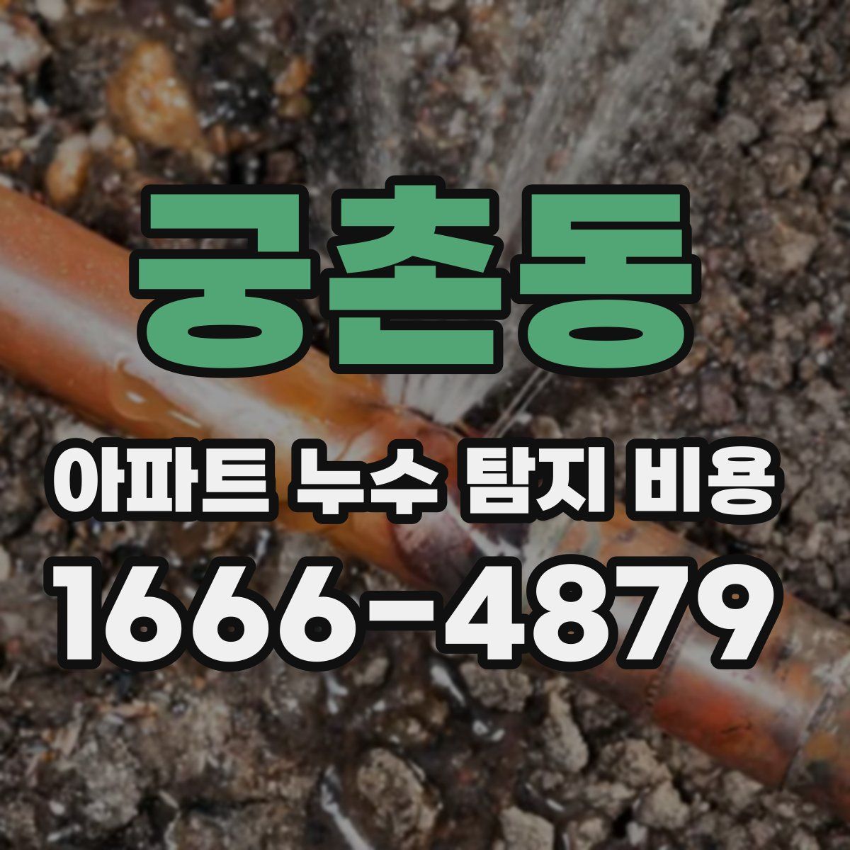 궁촌동 아파트 누수 탐지 비용