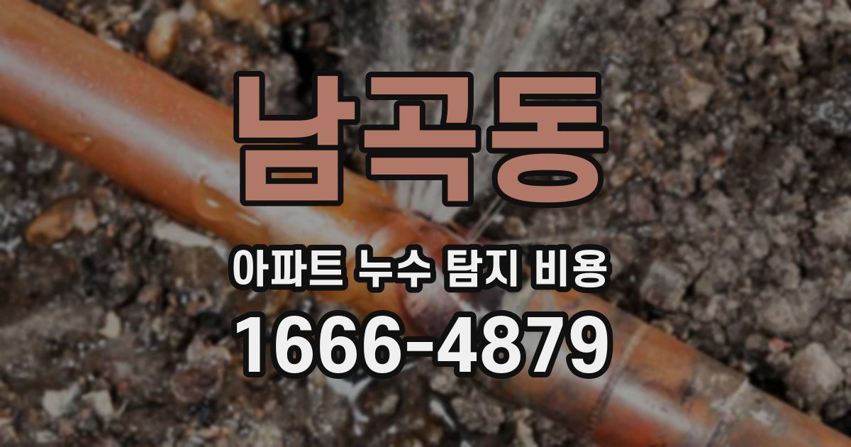 남곡동 아파트 누수 탐지 비용