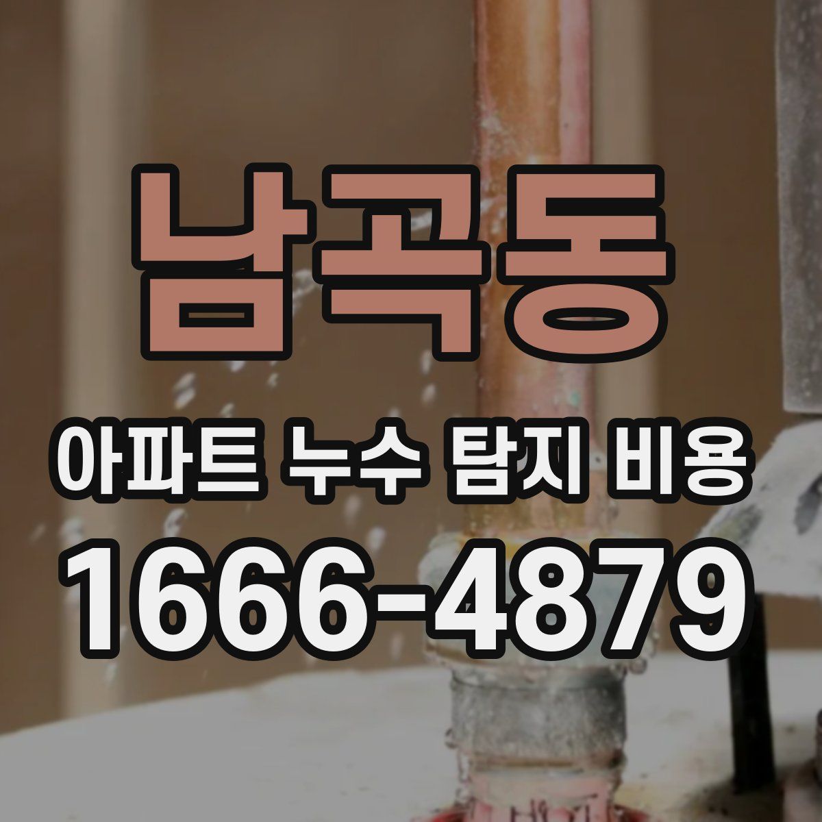 남곡동 아파트 누수 탐지 비용