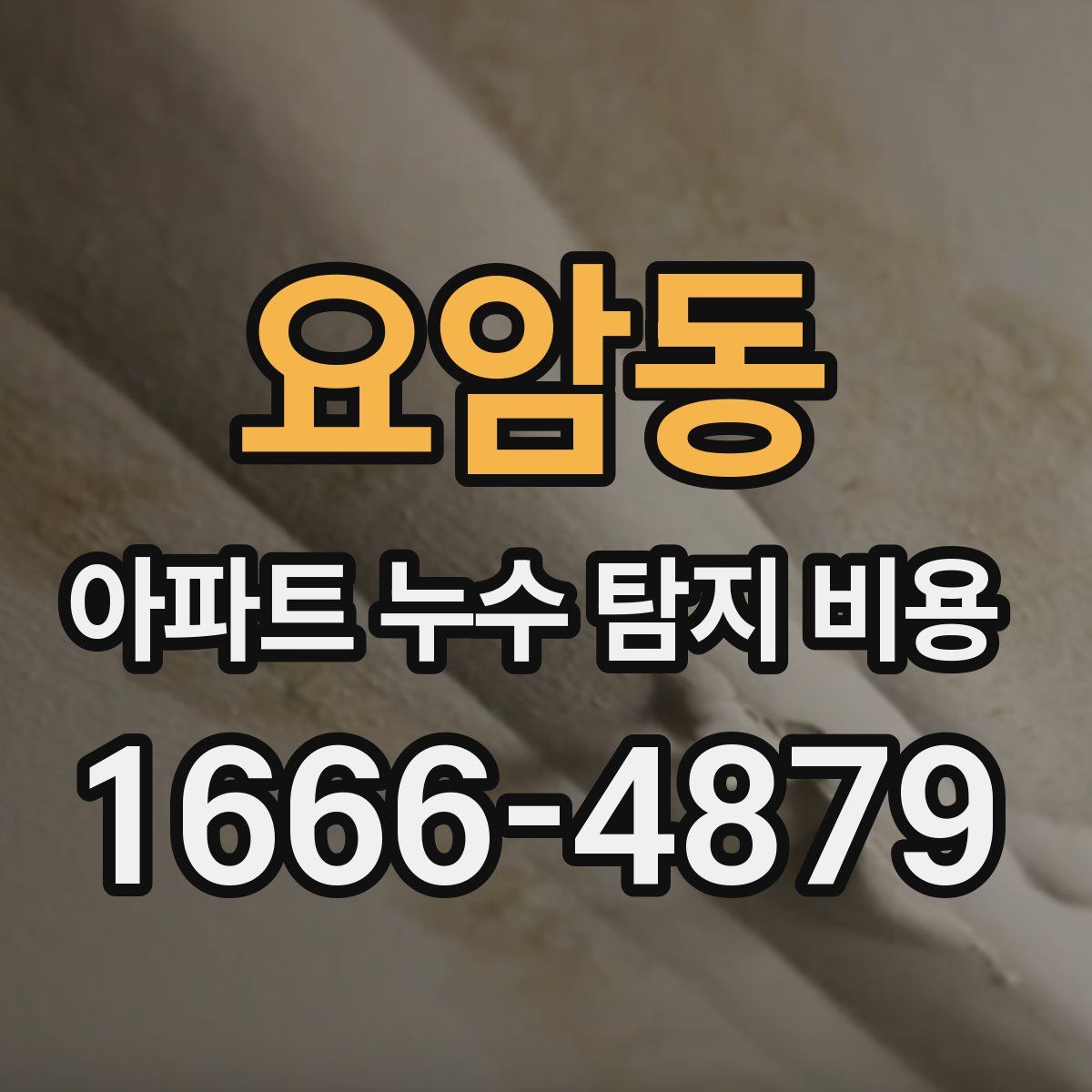 요암동 아파트 누수 탐지 비용