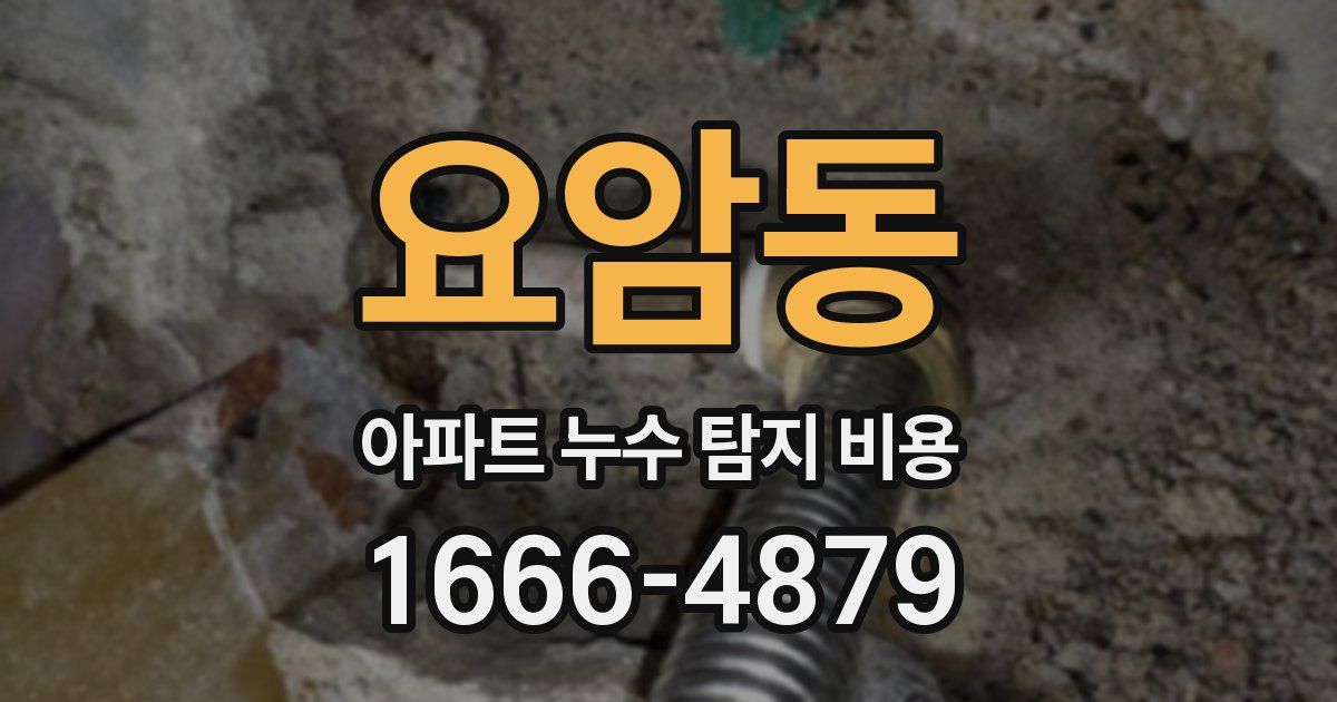 요암동 아파트 누수 탐지 비용
