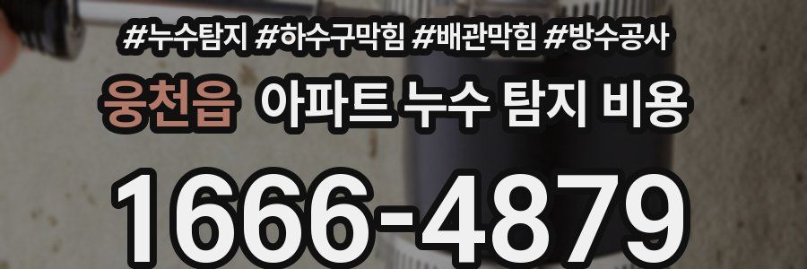 웅천읍 아파트 누수 탐지 비용