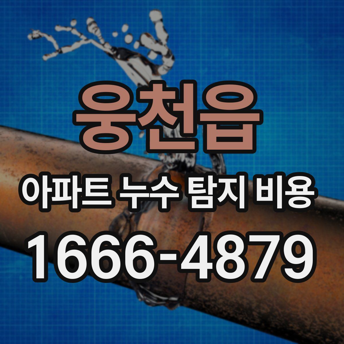 웅천읍 아파트 누수 탐지 비용