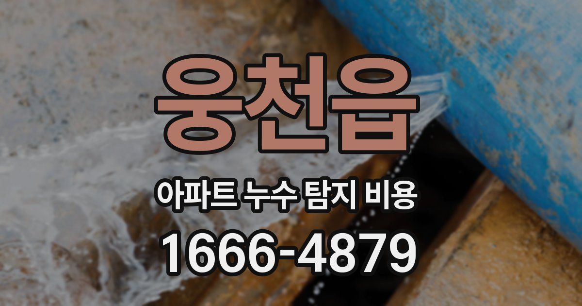 웅천읍 아파트 누수 탐지 비용