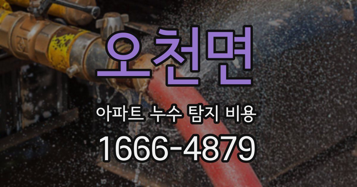 오천면 아파트 누수 탐지 비용