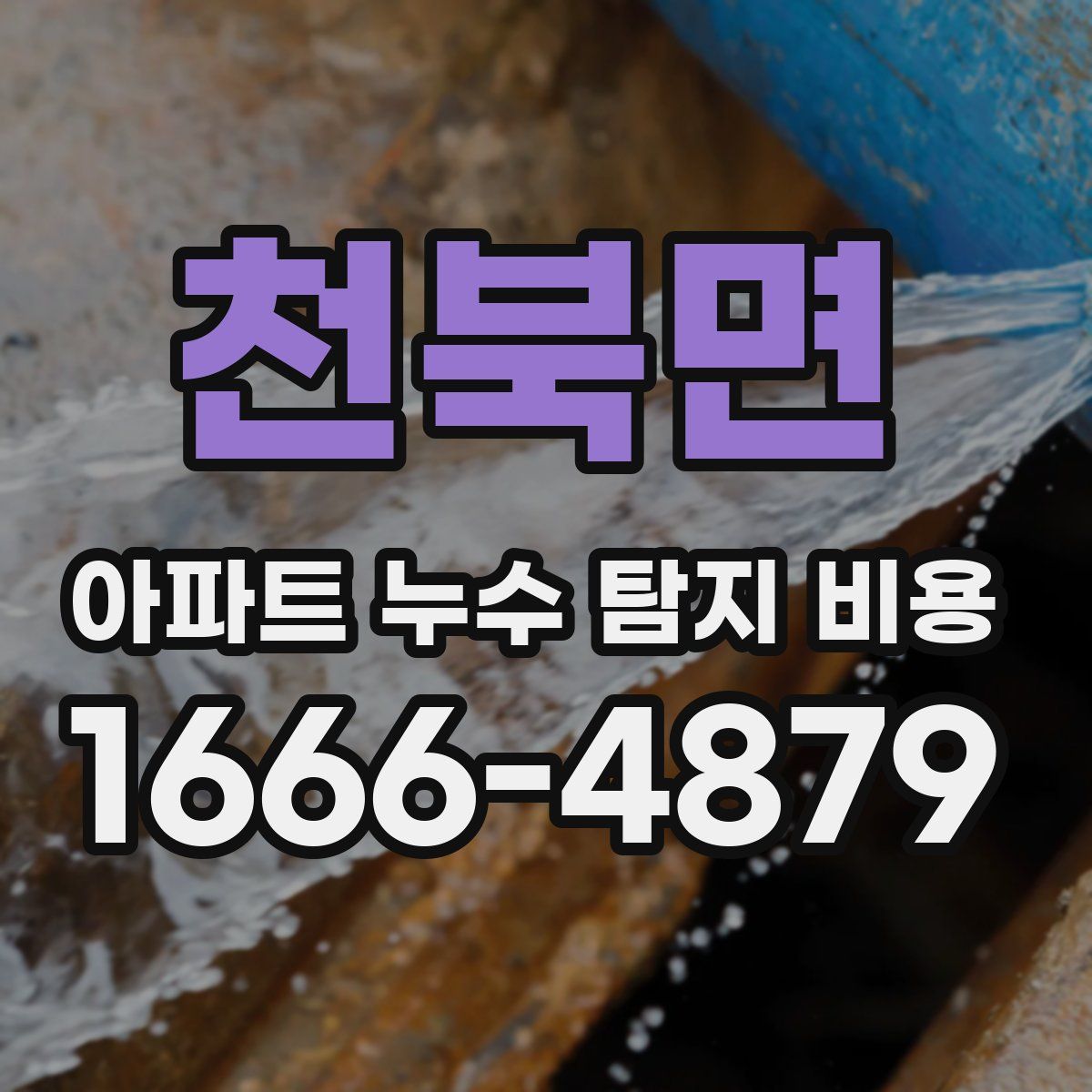 천북면 아파트 누수 탐지 비용