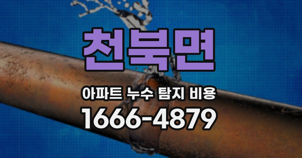 천북면 아파트 누수 탐지 비용