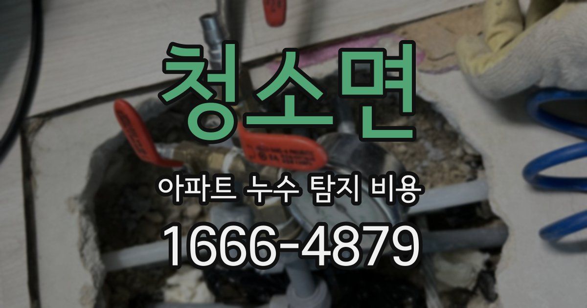 청소면 아파트 누수 탐지 비용