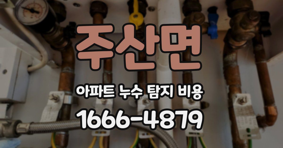 주산면 아파트 누수 탐지 비용