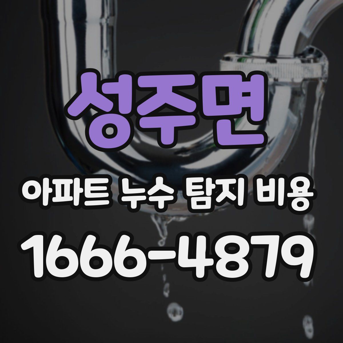 성주면 아파트 누수 탐지 비용