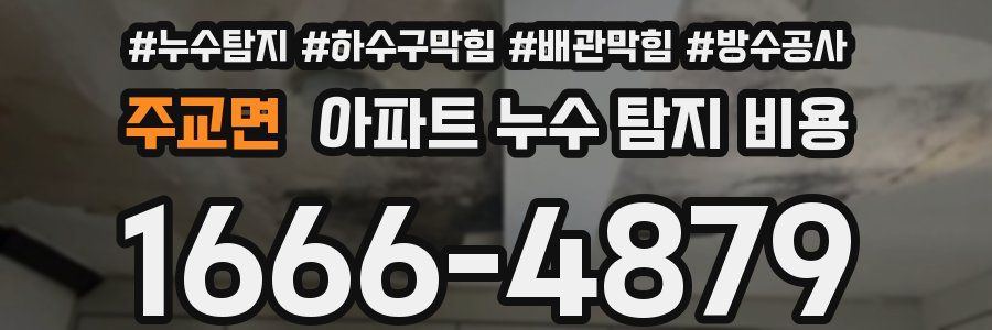 주교면 아파트 누수 탐지 비용
