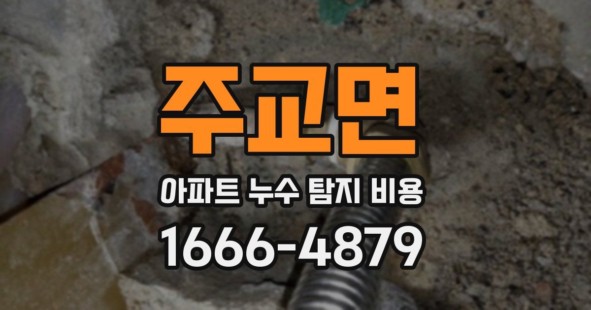 주교면 아파트 누수 탐지 비용
