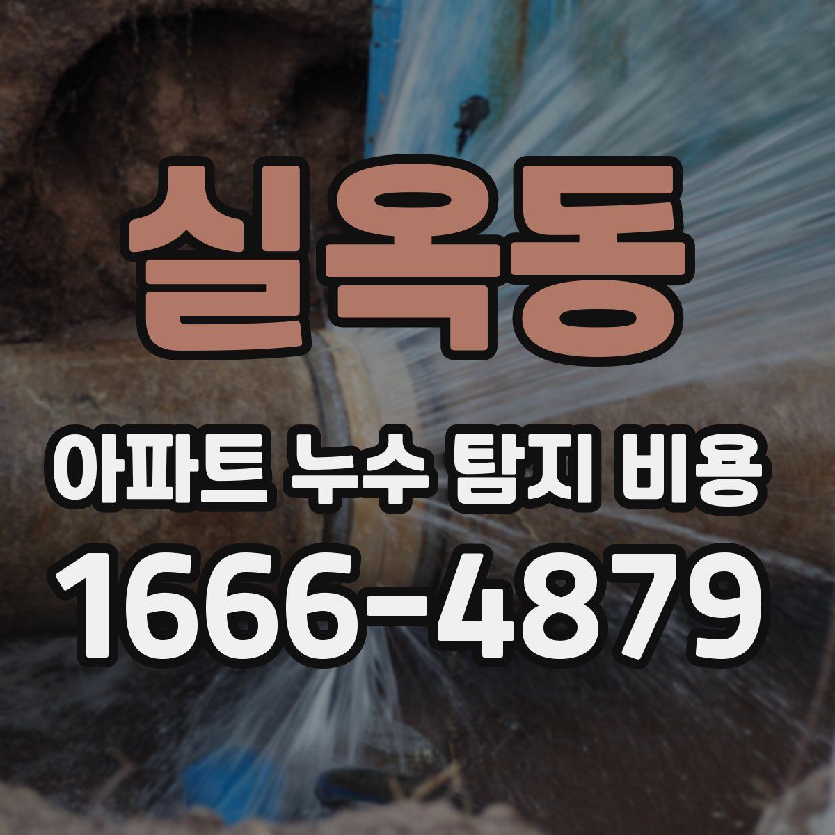 실옥동 아파트 누수 탐지 비용