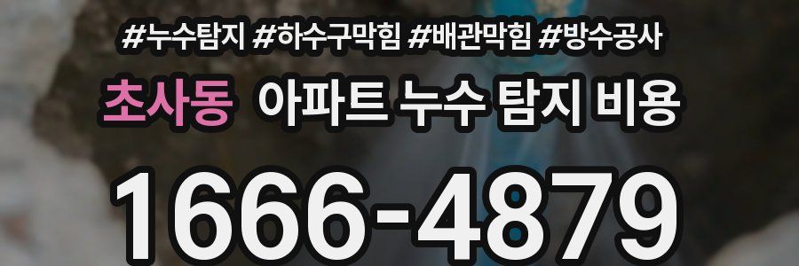 초사동 아파트 누수 탐지 비용