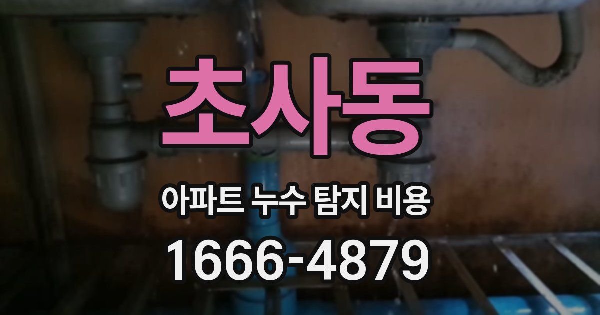 초사동 아파트 누수 탐지 비용