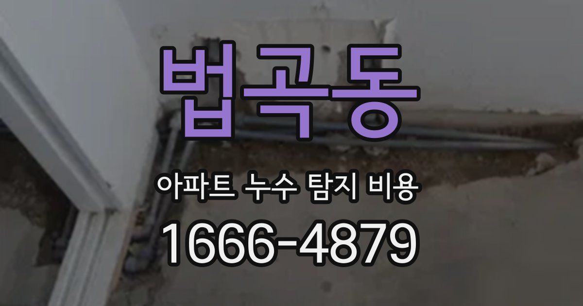 법곡동 아파트 누수 탐지 비용