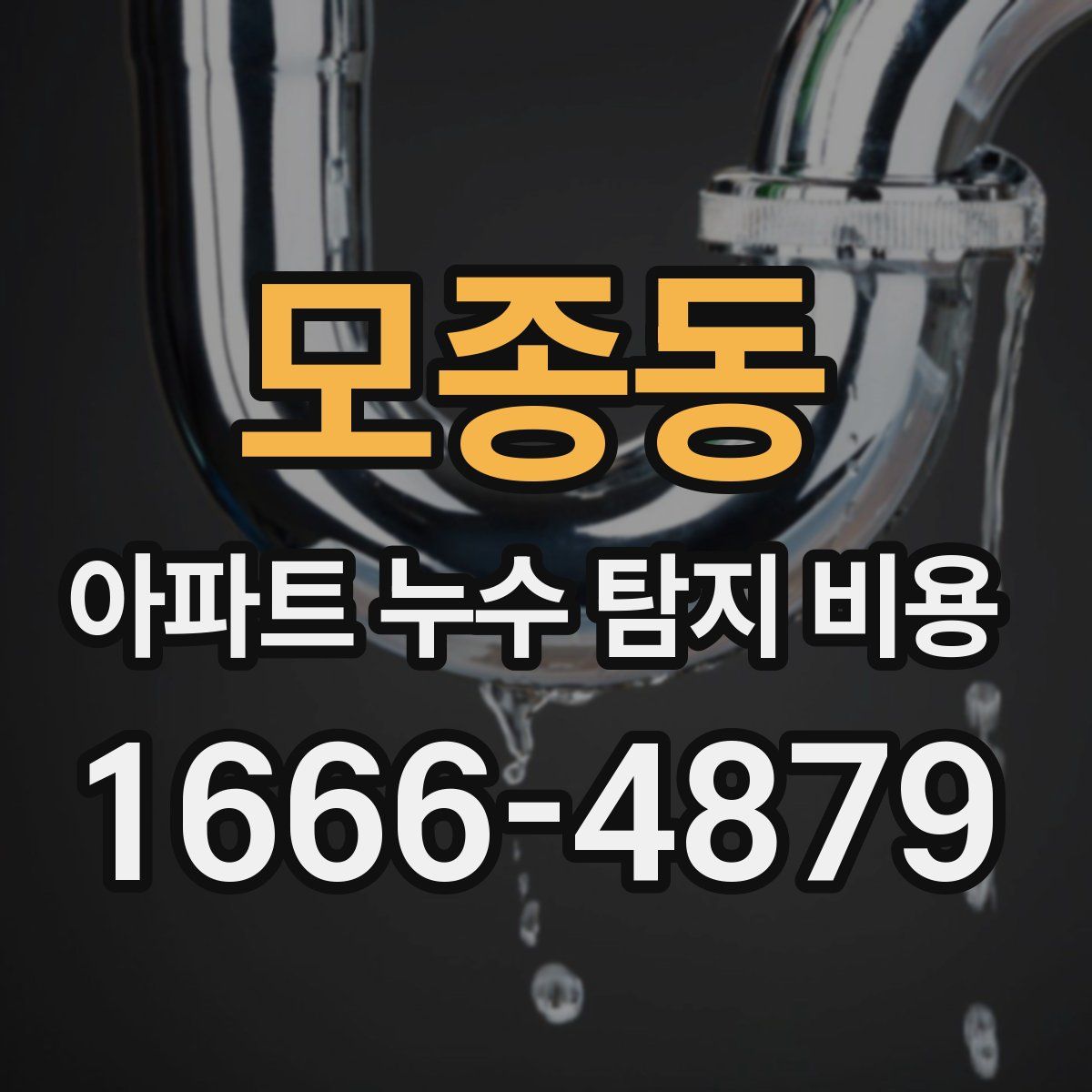 모종동 아파트 누수 탐지 비용