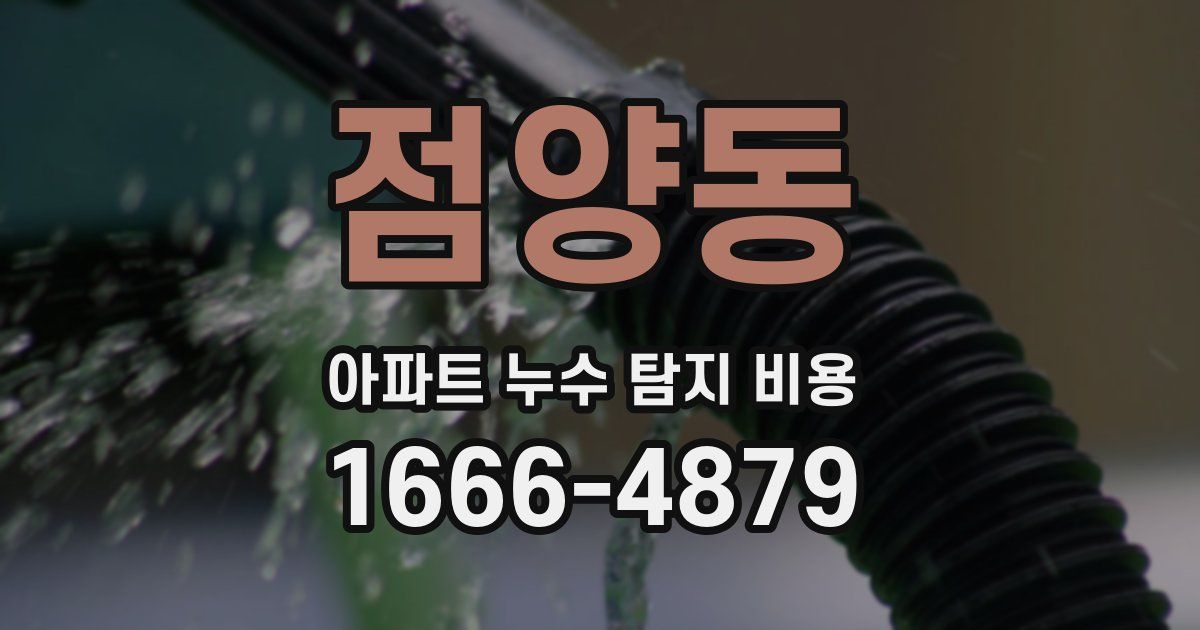 점양동 아파트 누수 탐지 비용