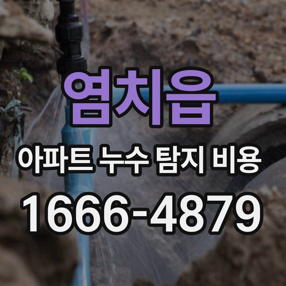 염치읍 아파트 누수 탐지 비용