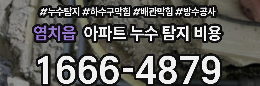 염치읍 아파트 누수 탐지 비용