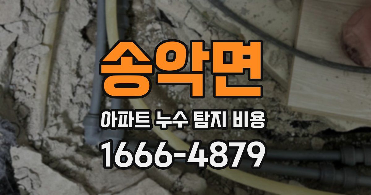 송악면 아파트 누수 탐지 비용