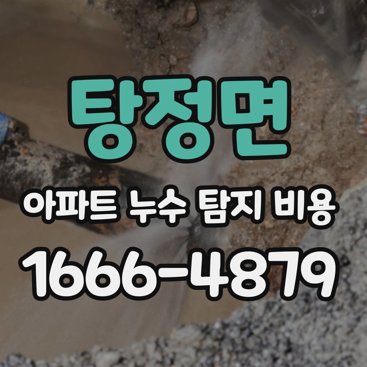 탕정면 아파트 누수 탐지 비용