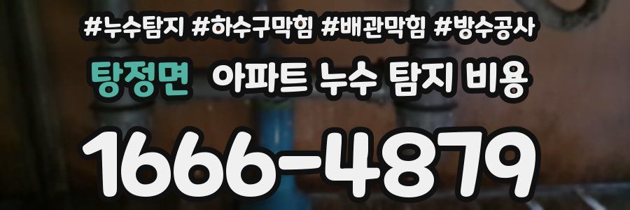 탕정면 아파트 누수 탐지 비용