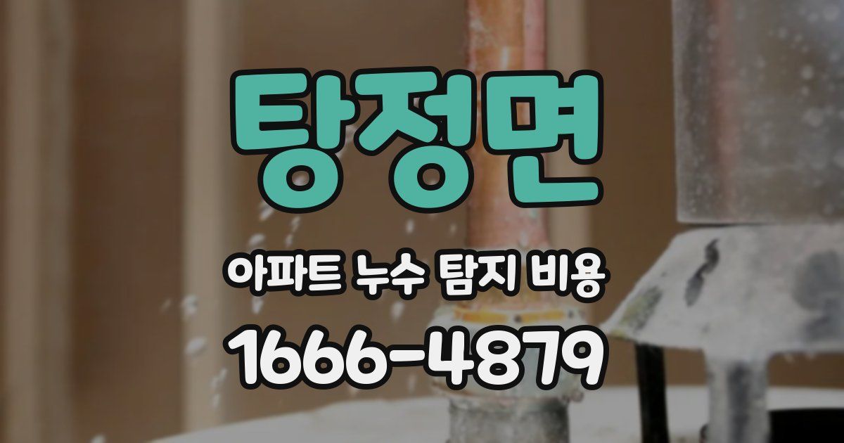 탕정면 아파트 누수 탐지 비용
