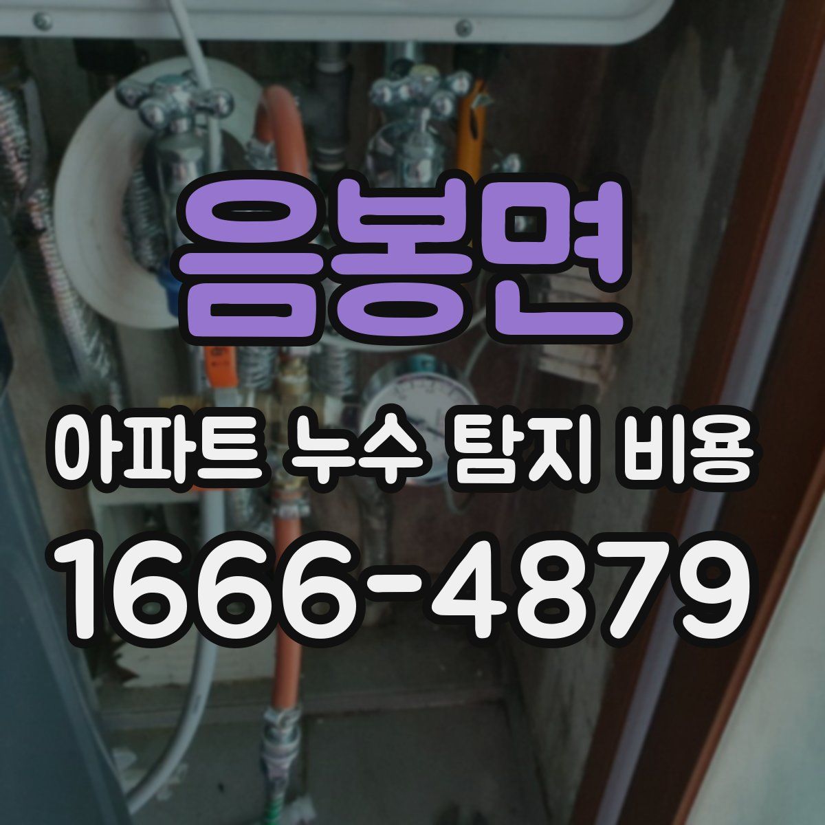 음봉면 아파트 누수 탐지 비용