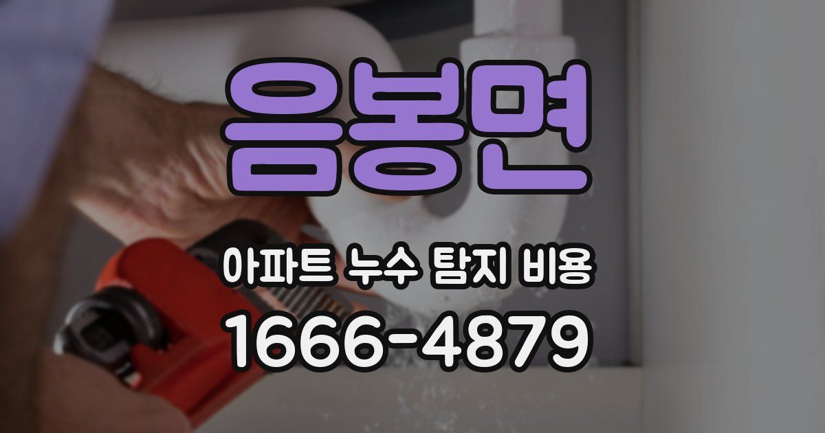 음봉면 아파트 누수 탐지 비용