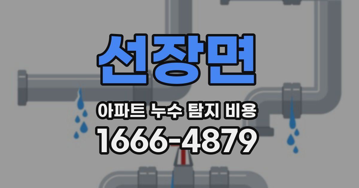 선장면 아파트 누수 탐지 비용