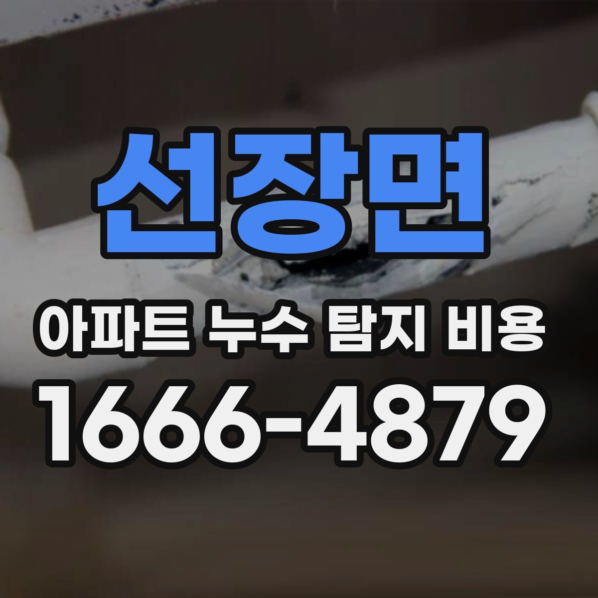 선장면 아파트 누수 탐지 비용