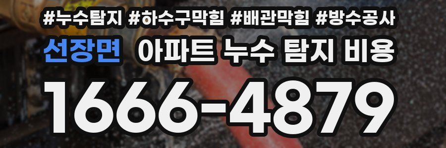 선장면 아파트 누수 탐지 비용