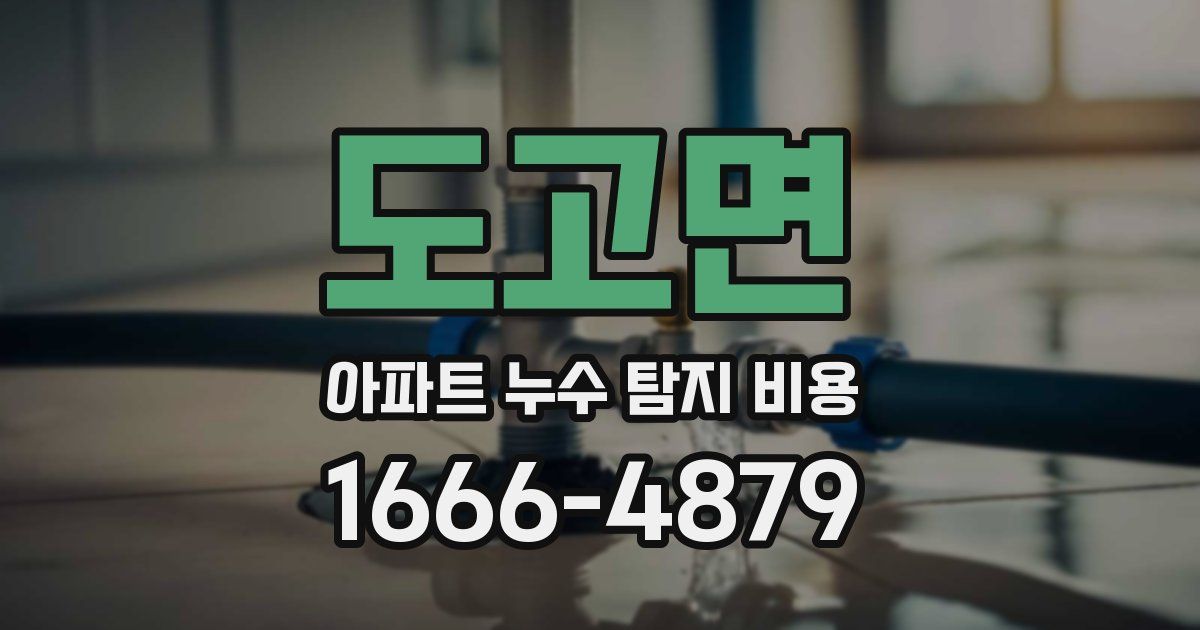 도고면 아파트 누수 탐지 비용
