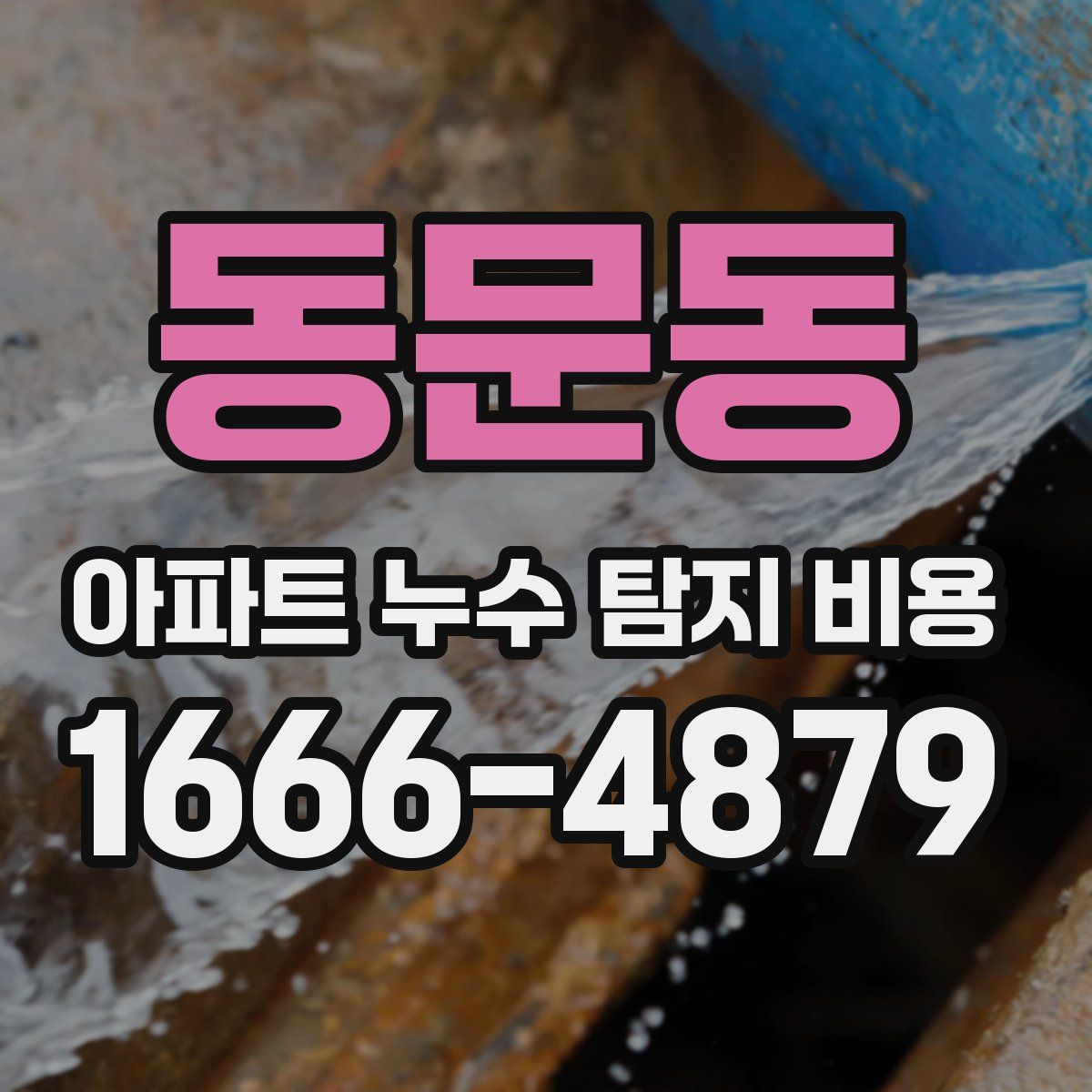 동문동 아파트 누수 탐지 비용