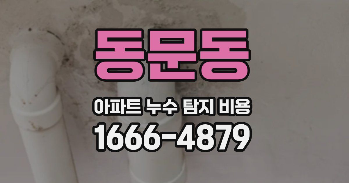 동문동 아파트 누수 탐지 비용