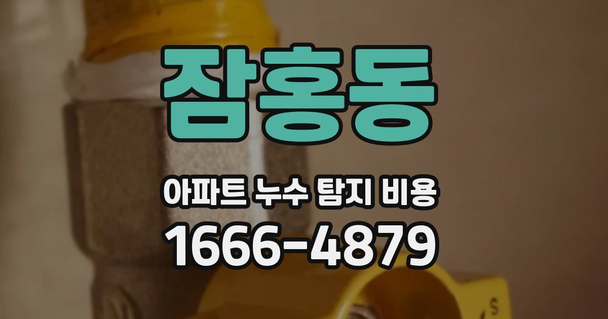 잠홍동 아파트 누수 탐지 비용