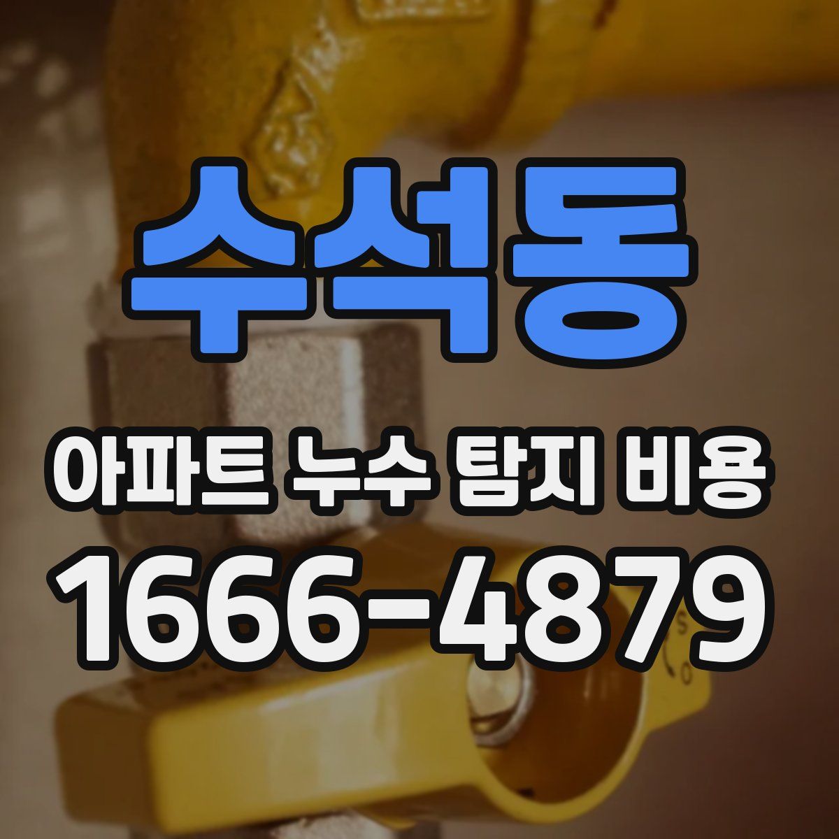 수석동 아파트 누수 탐지 비용