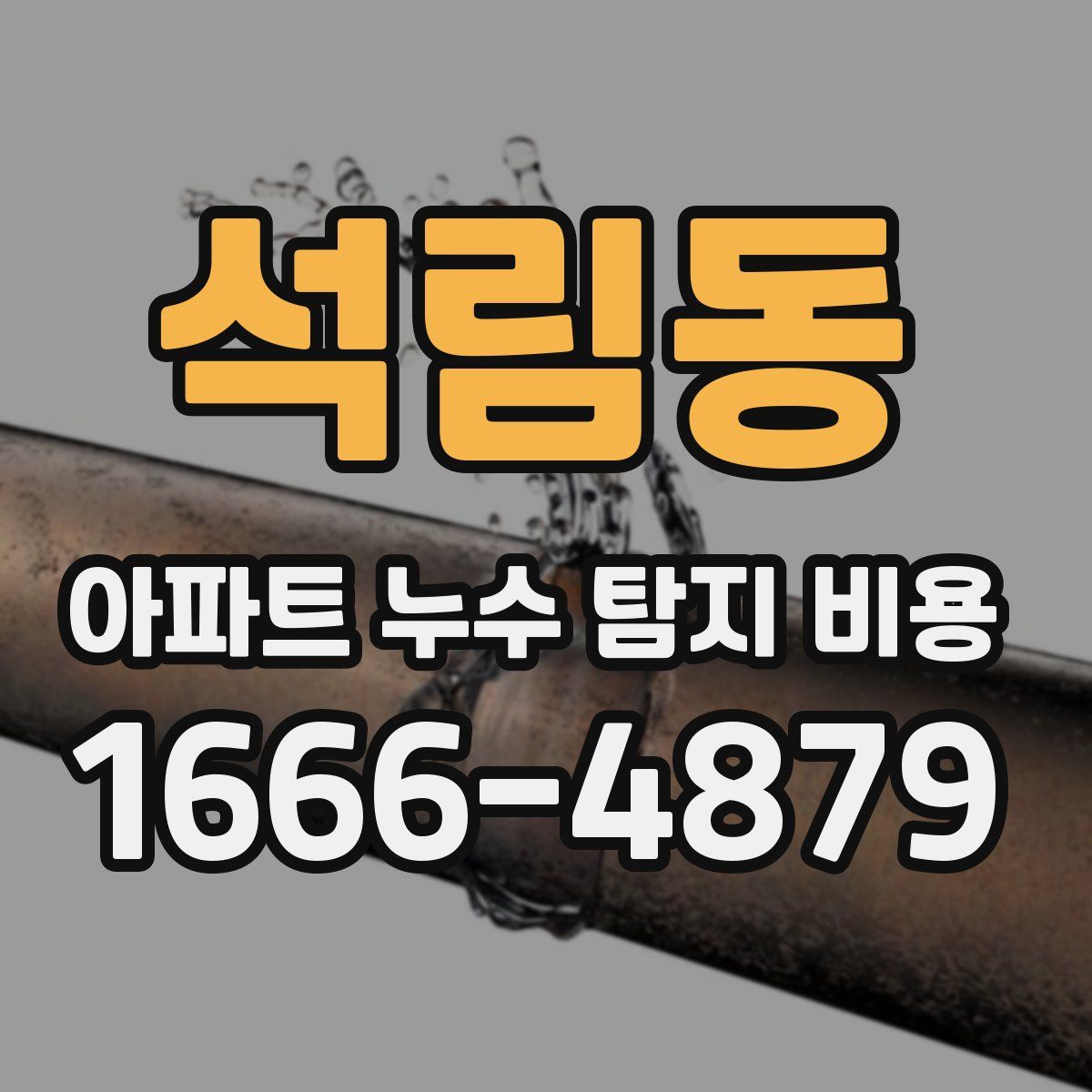 석림동 아파트 누수 탐지 비용